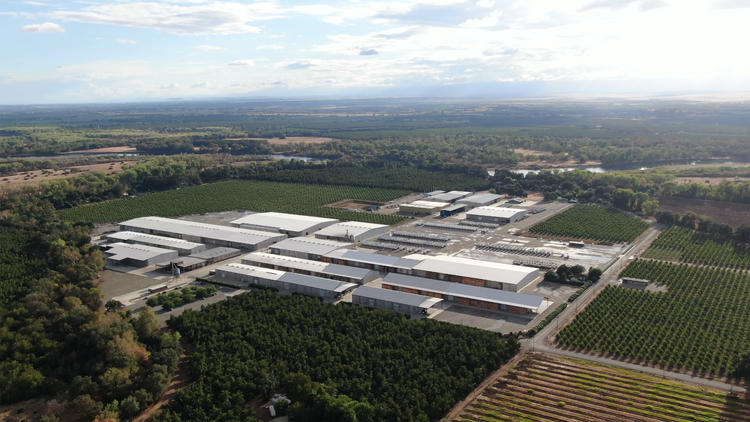 Crain Ranch Nuts Sales & Marketing – Crain Ranch